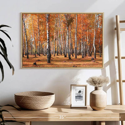 Forêt de bouleaux en automne