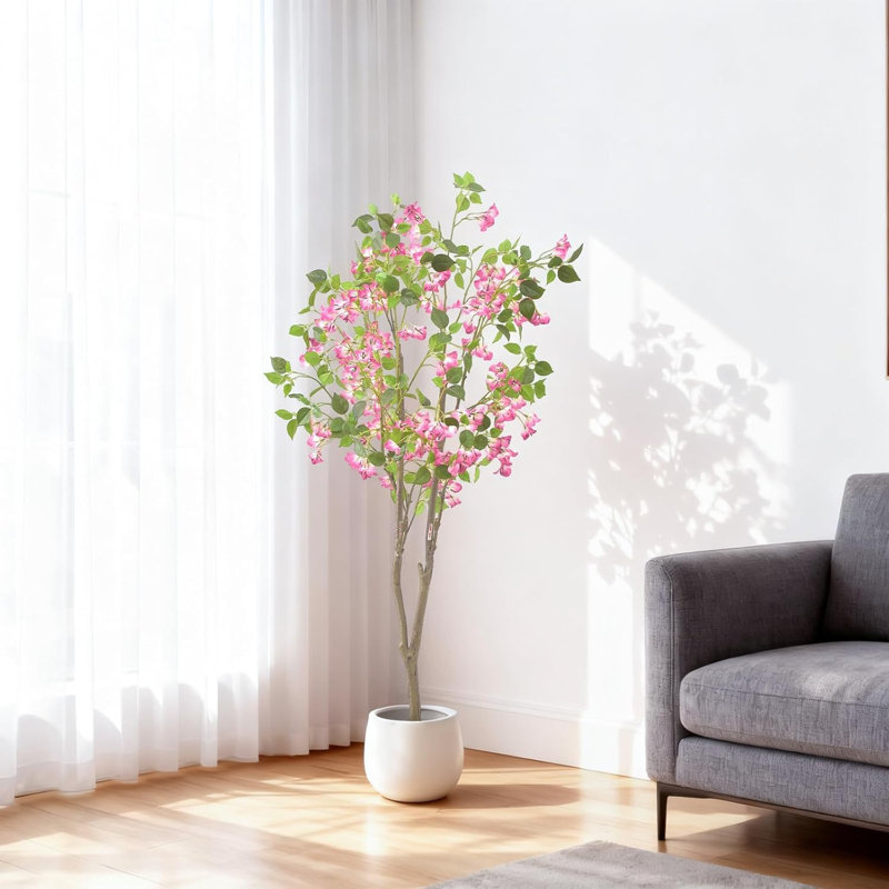 150cm Plant