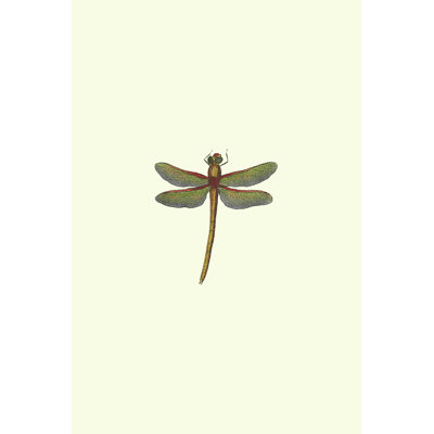Miniature libellule II