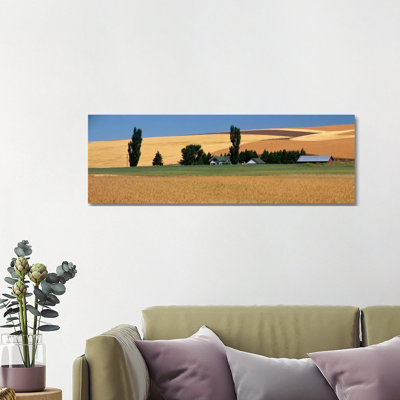Farm, Saint John, Washington State, USA - Wrapped Canvas Panoramic Print