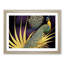Captivating Peacock - Framed Print-760837689-760837690