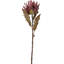 Dried Flower Bunch-119034006-119034007