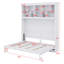 Lit escamotable mural Murphy avec tablettes et USB-1164402838