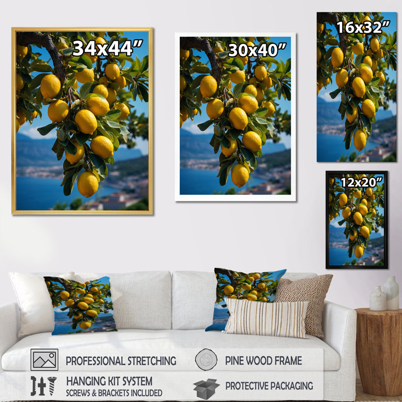 Italie Italie Sorrento Serenade II - impression, H 40 po x l 30 po x P 1,5 po, Cadre flottant noir