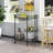Mirror Shelf Metal Bar Cart-1979434081