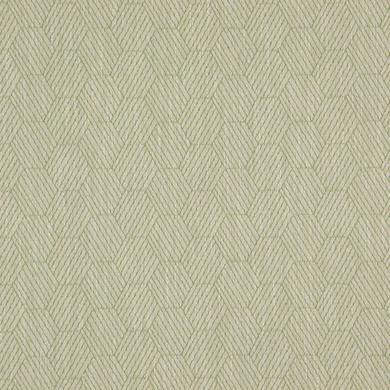 Suite Fabric, Fern