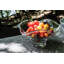Chelsea Bowl-49837521