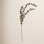 Thistle Stems
