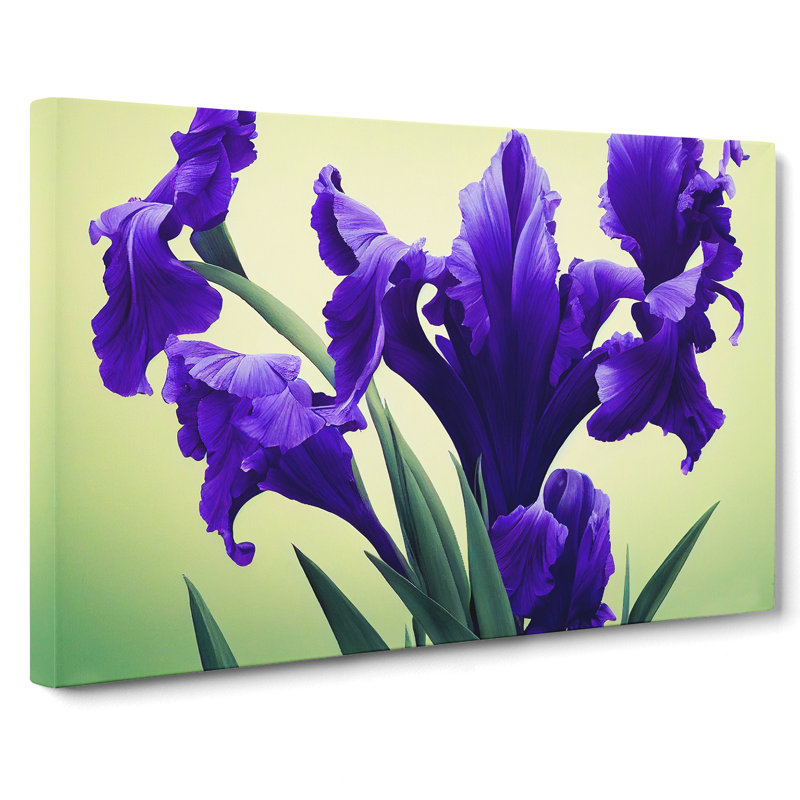 Evolving Iris Flowers - Wrapped Canvas