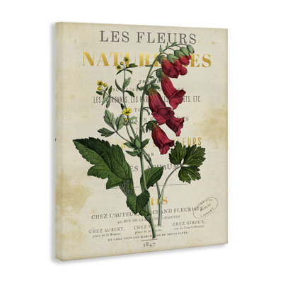 «Flower over Aged French Page», art mural par Susan Arnot