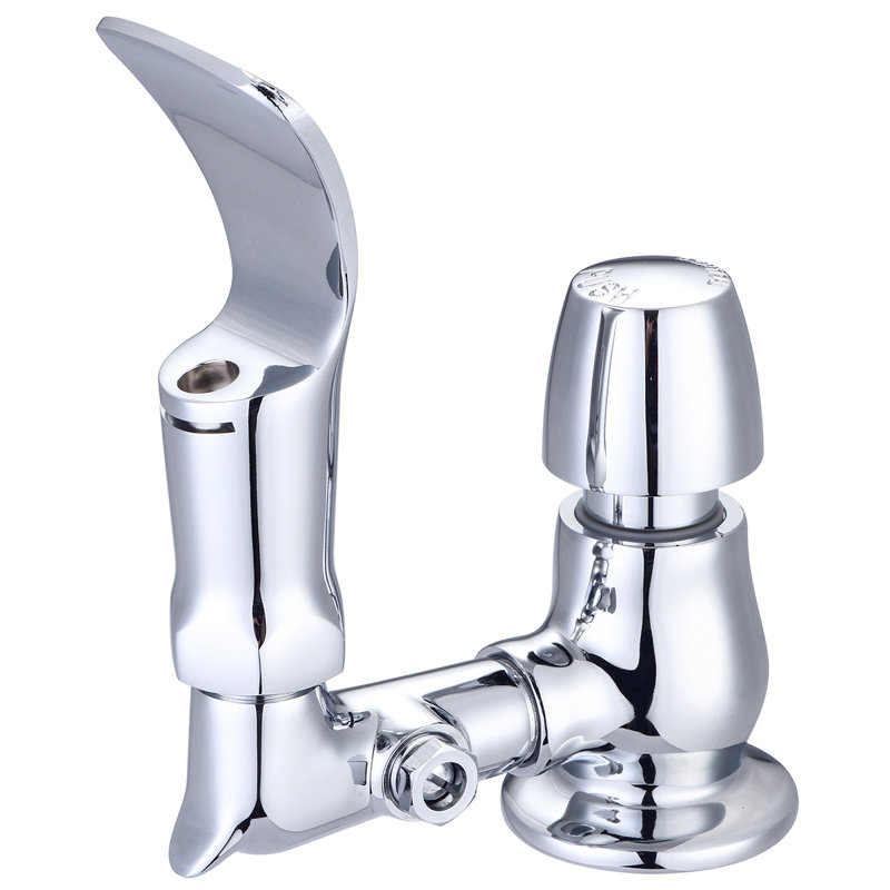Push Button Drinking Fountain Head
