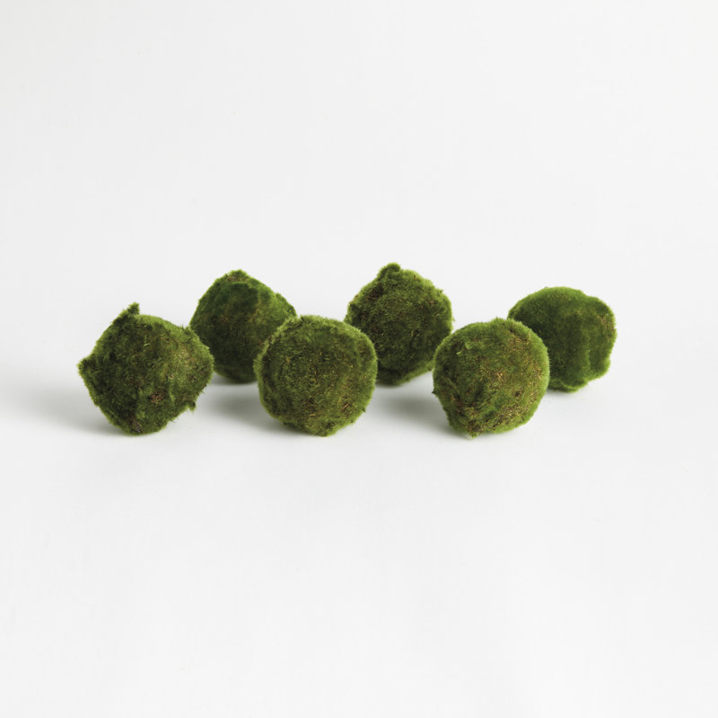 Ensemble de 6 barbes 4 "Barrientos ORBS