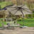 Aarne 300cm X 200cm Rectangular Cantilever Parasol-94353189