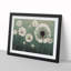 Entrancing Dandelion Flowers - Framed Print-1810719606-1810719607