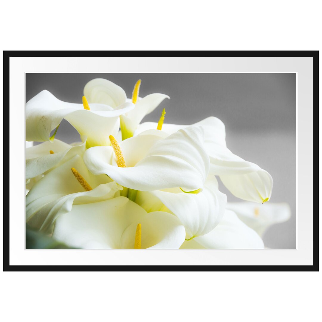 Gerahmtes Poster Wunderschöne weiße Calla Lilien