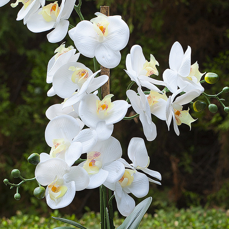 Arrangement floral d’orchidées artificielles véritables en pot