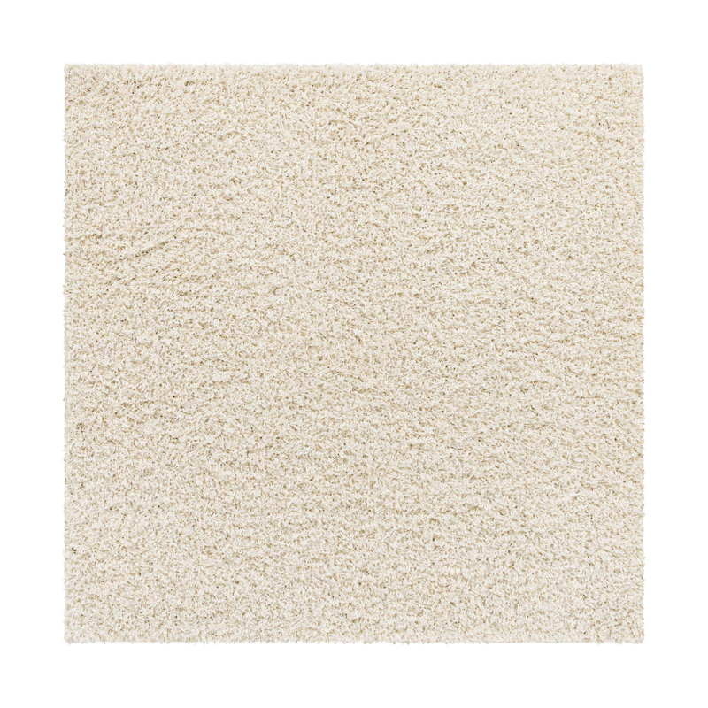 Roshane Performance Indoor Rug, Square 5'3"