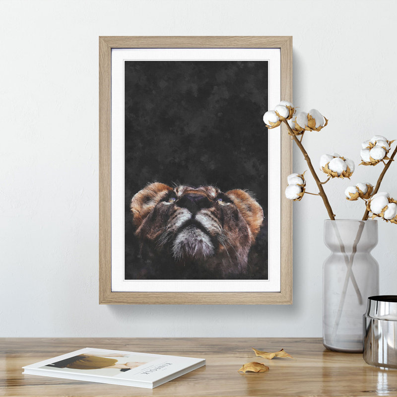 Lion Looking Upwards - Picture Frame Graphic Art Print, Oak Framed, 45cm H x 33cm W x 2cm D