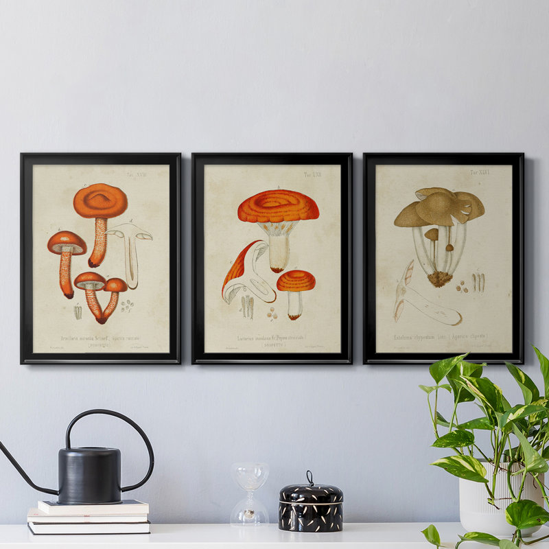 «Mushroom Variétés IV», reproduction encadrée de qualité supérieure - prête à être accrochée, H 36,5 po x l 79,5 po x P 1 po