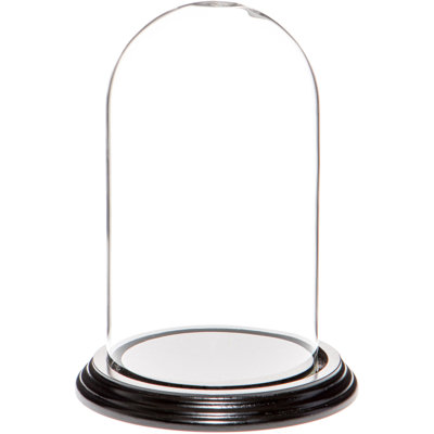 Jenett 4" x 7" Glass Display Dome Cloche