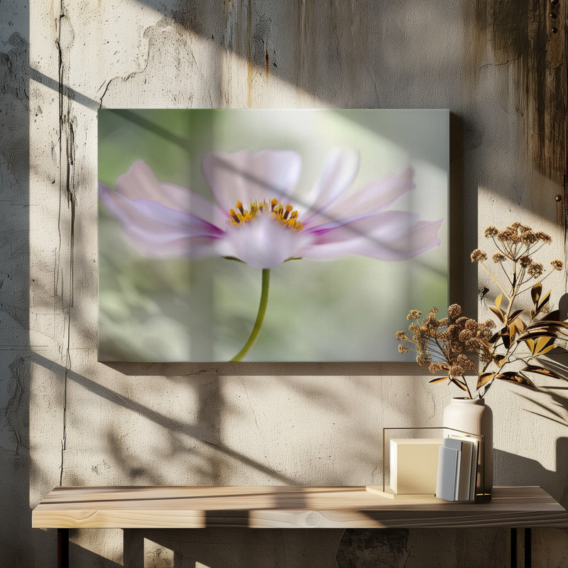 Wrapped Canvas Print, 50.8 cm H x 76.2 cm W