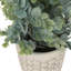 Lot de 2 plantes artificielles d'eucalyptus de 33 cm (13 pouces), fausse verdure de table en pots blancs pour la décoration intérieure-1043385799