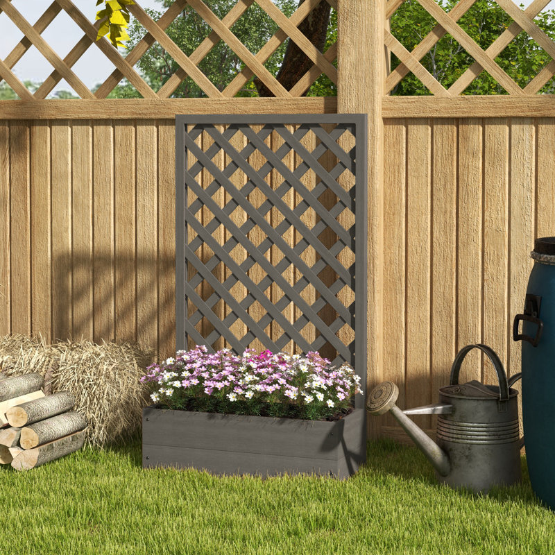 Belva 53.25'' H x 29.25'' W Lattice Panel Trellis, Dark Gray