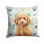 Caniche miniature abricot sélectionné