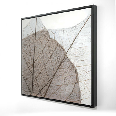 Translucent Dried Leaves Print On Canvas