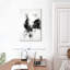 Coq Brampt noir et blanc-108380839