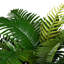 100cm Plant