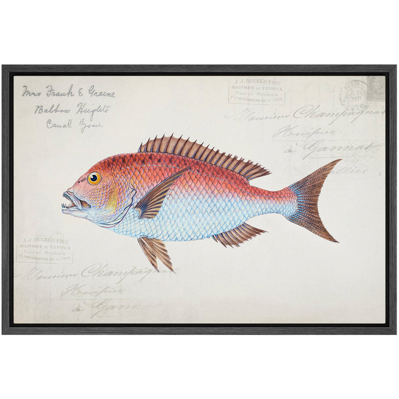 «Red Snapper», art nautique, photos de salon côtier, impression sur toile encadrée, impression numérique., H 16 po x l 24 po