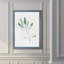« simple sage ii »-cadre photo imprimé sur verre-1626722299-1626722296