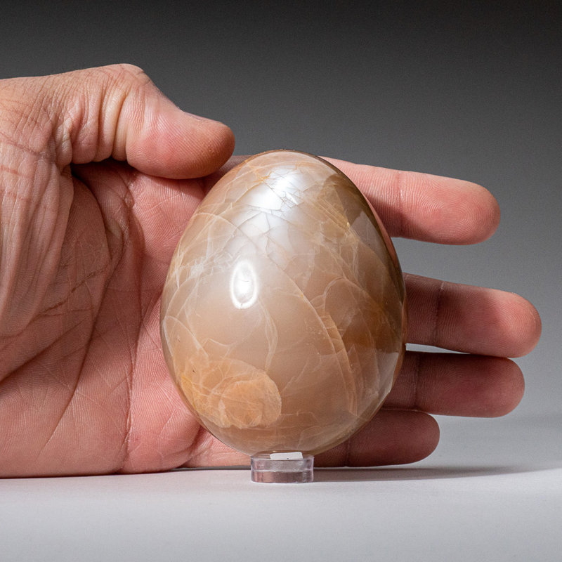 Genuine Polished Peach Moonstone (2.5") Egg from Madagascar