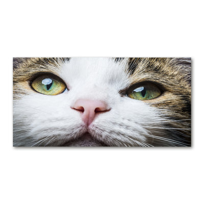 Green Cat's Eyes - Wrapped Canvas Print
