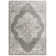 Maxy Oriental Indoor Rug