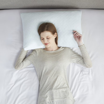 Sleep Philosophy Rayon from Bamboo Shredded Memory Foam Pillow