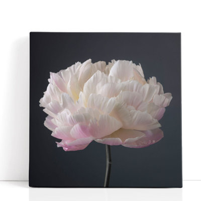 Fleur de pivoine - reproduction d'art sur toile
