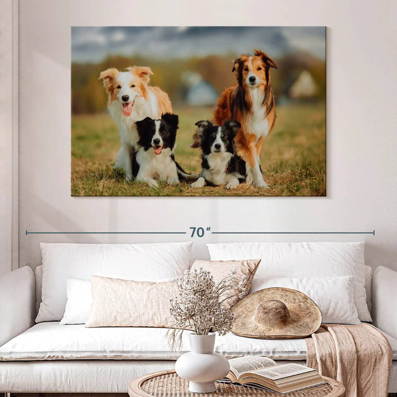 Crowle Border Collie Dogs
