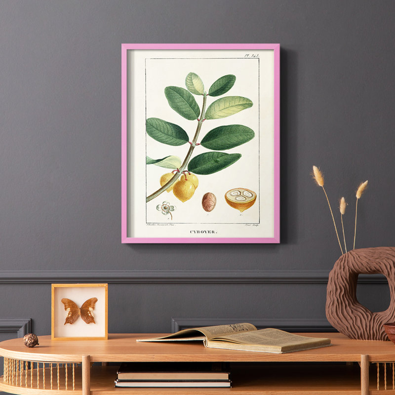 «Turpin Tropical Botanicals», reproduction encadrée en bois massif, Noir, H 14 po x l 11 po