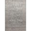 Wool Oriental Area Rug in Gray
