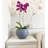 Florence Pot Planter-50346848-50346846