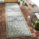 Embyr Performance Ikat Indoor/Outdoor Area Rug