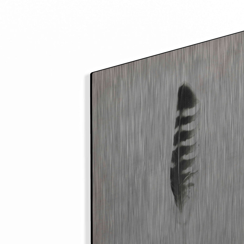 «Feather IV B&W» par Debra Van Swearingen, H 16 po x l 12 po