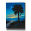  «Palmetto Dusk» par Campbell Frost, art mural sur toile, 40 po x 54 po-586009061