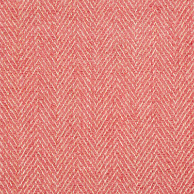 Baronet Firle Chenille Ii Cotton Blend Fabric