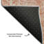 Tapis corail Prisco lavable à la machine de qualité supérieure-1516304