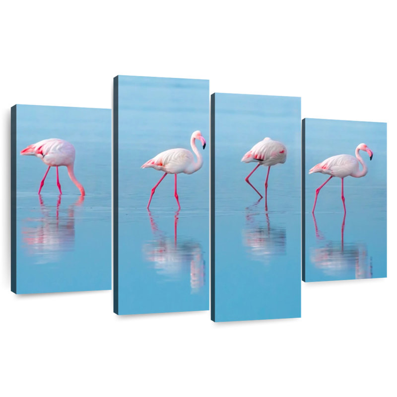 Flamants roses du lac bleu Brampt, H 22 po x l 36 po