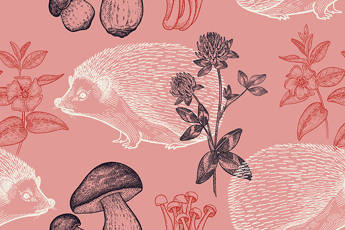 Marquardt Matte Wallpaper Roll, 250 x 250cm