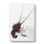 Crayfish by Watanabe Seitei - Wrapped Canvas-55313028